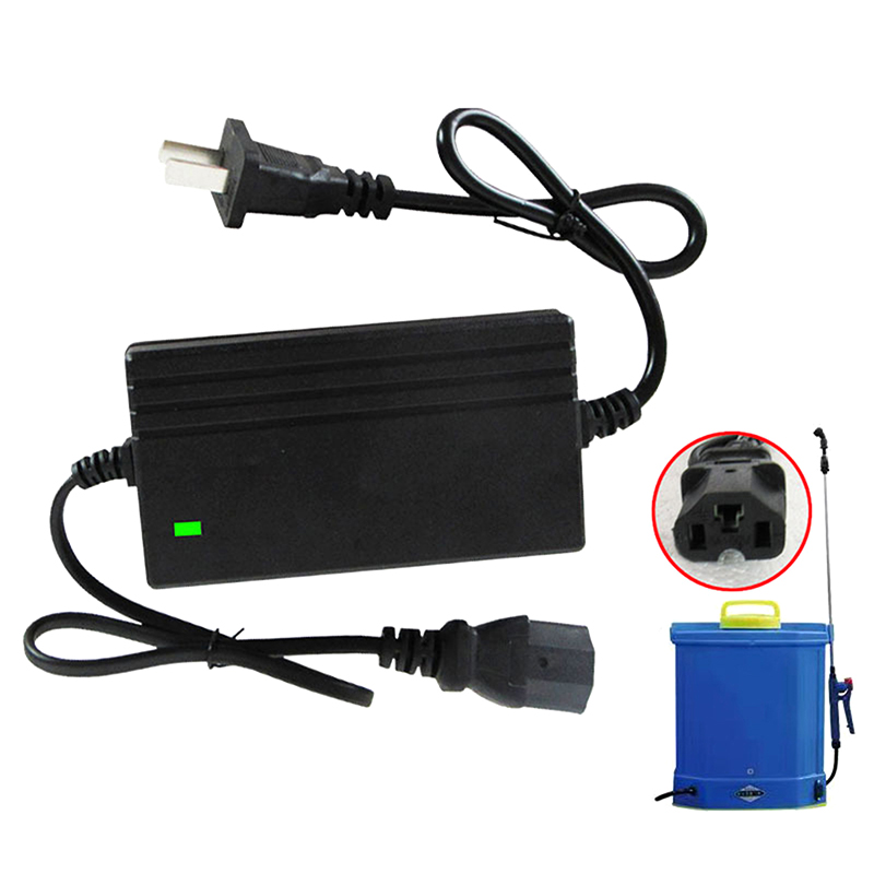 1A Lithium Battery Charger Spa - Crossfit Machine review and price